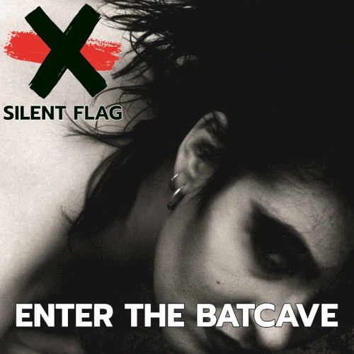 Enter the Batcave