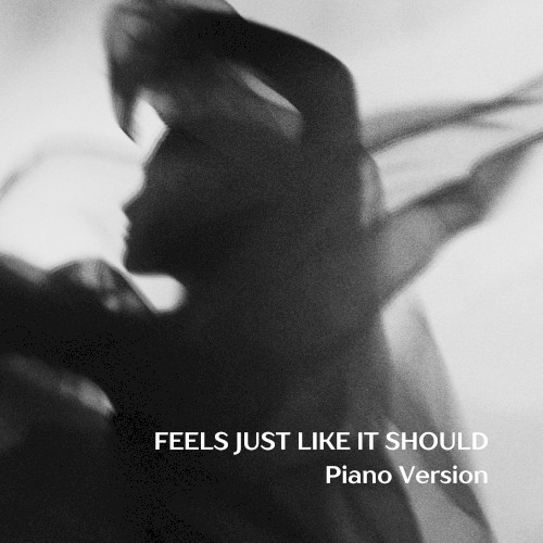 Feels Just Like It Should (Piano Version)