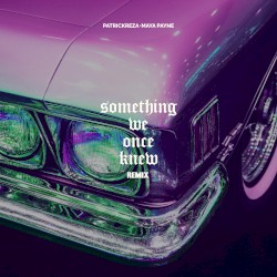 Something We Once Knew (PatrickReza remix)