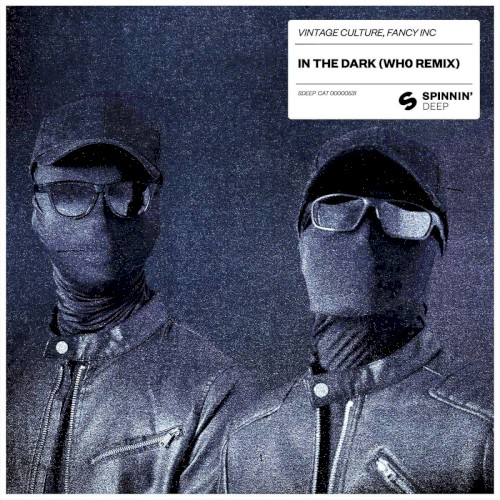 In the Dark (Wh0 remix)