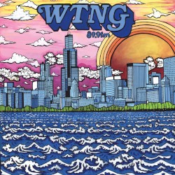 WTNG 89.9 FM: Solid Bronze