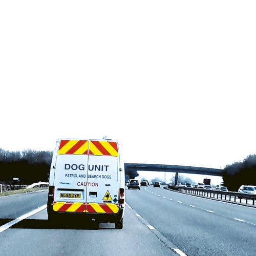 Barking To Gospel