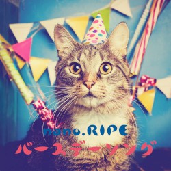 Birthday Song