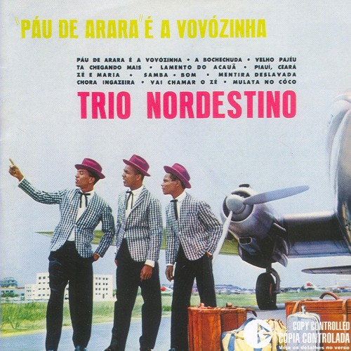 Pau De Arara É A Vovozinha