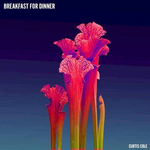 Breakfast for Dinner