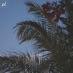 Summer Love