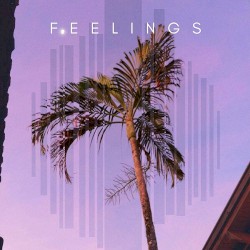 Feelings