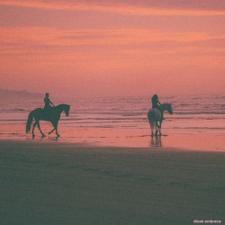 Sun Quest