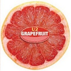 Grapefruit: U2 Fruitleg Remixes Not for Propoganda