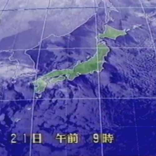 コレクション