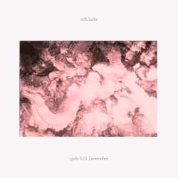 Cycle 3.11 | November