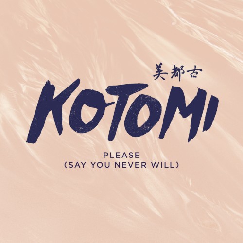 Please (Say You Never Will)