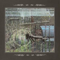Dragged Through the Garden