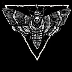DEMO MMXIII