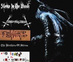 Wings of Black Crusader