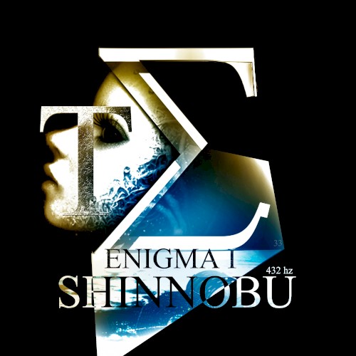 The Enigma I
