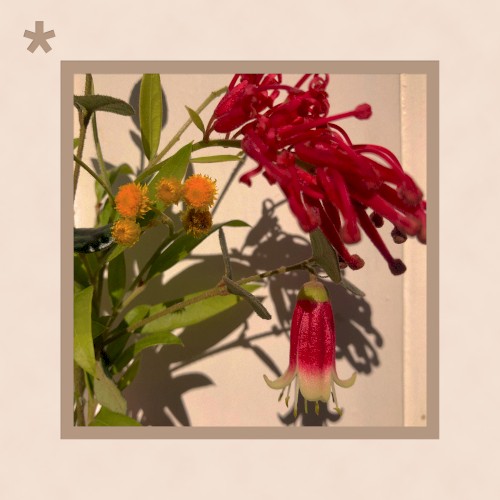 flower*market