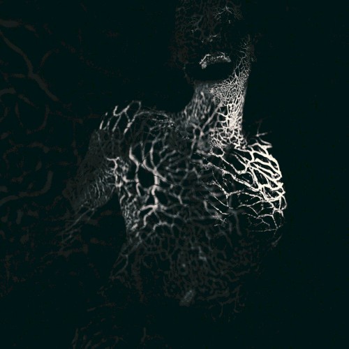 To Flow Through Ashen Hearts
