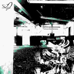 trespasser
