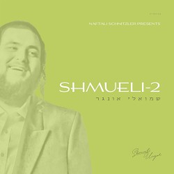 Shmueli-2