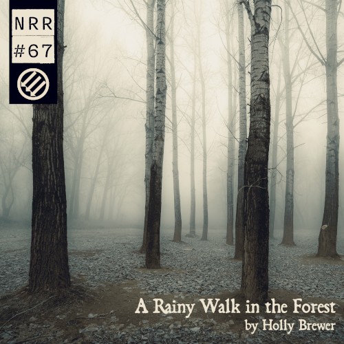 A Rainy Walk in the Forest