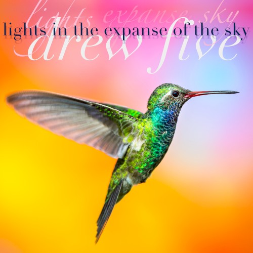 Lights in the Expanse of the Sky