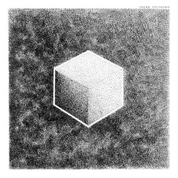 Polygonie