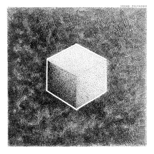 Polygonie