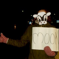 Mook