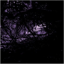 Untitled (2006)