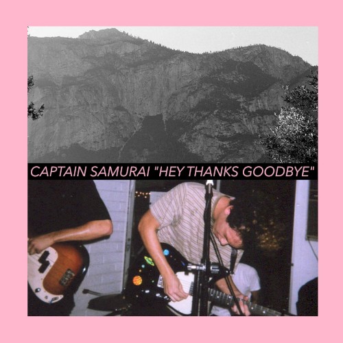 Hey Thanks Goodbye