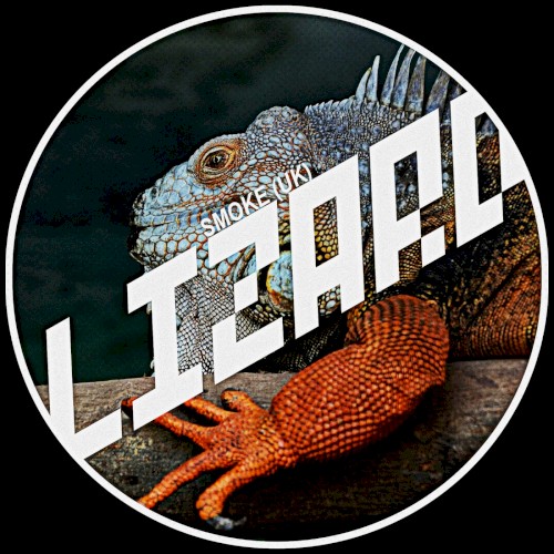 Lizard