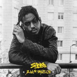 Black Shaolin