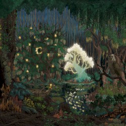 ÁNH SÁNG • MÀN ĐÊM