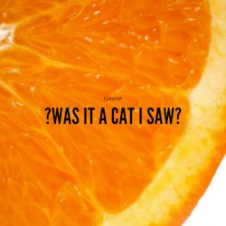 ?Was It A Cat I SaW?