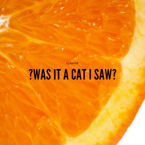 ?Was It A Cat I SaW?