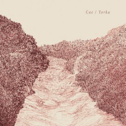 Cae