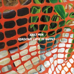 Momentary Lapse of Happily