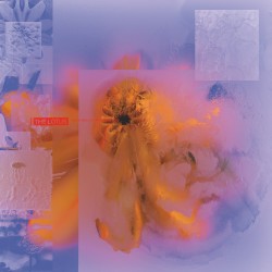 056 (The Lotus)