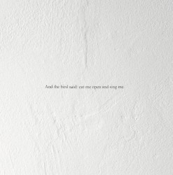 And the Bird Said: Cut Me Open and Sing Me