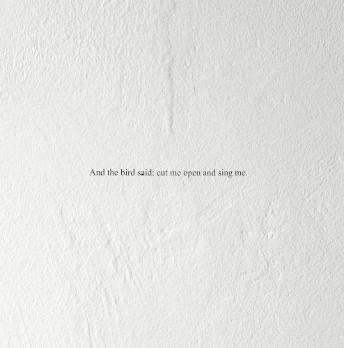 And the Bird Said: Cut Me Open and Sing Me
