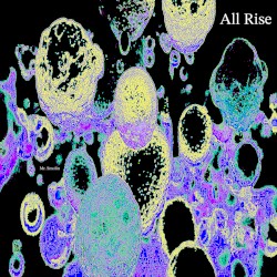 All Rise