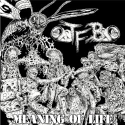 Meaning of Life