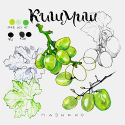 кишмиш