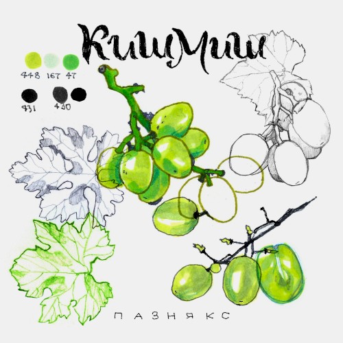 кишмиш