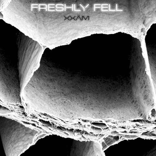 Freshly Fell