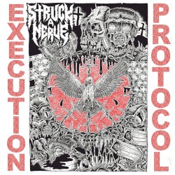 Execution Protocol