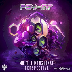 Multidimensional Perspective