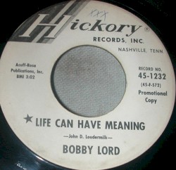Life Can Have Meaning / Pickin’ White Gold