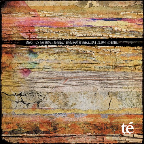"Convulsive" beauty in sound is the horror of the body beyond the idea to visit the wild